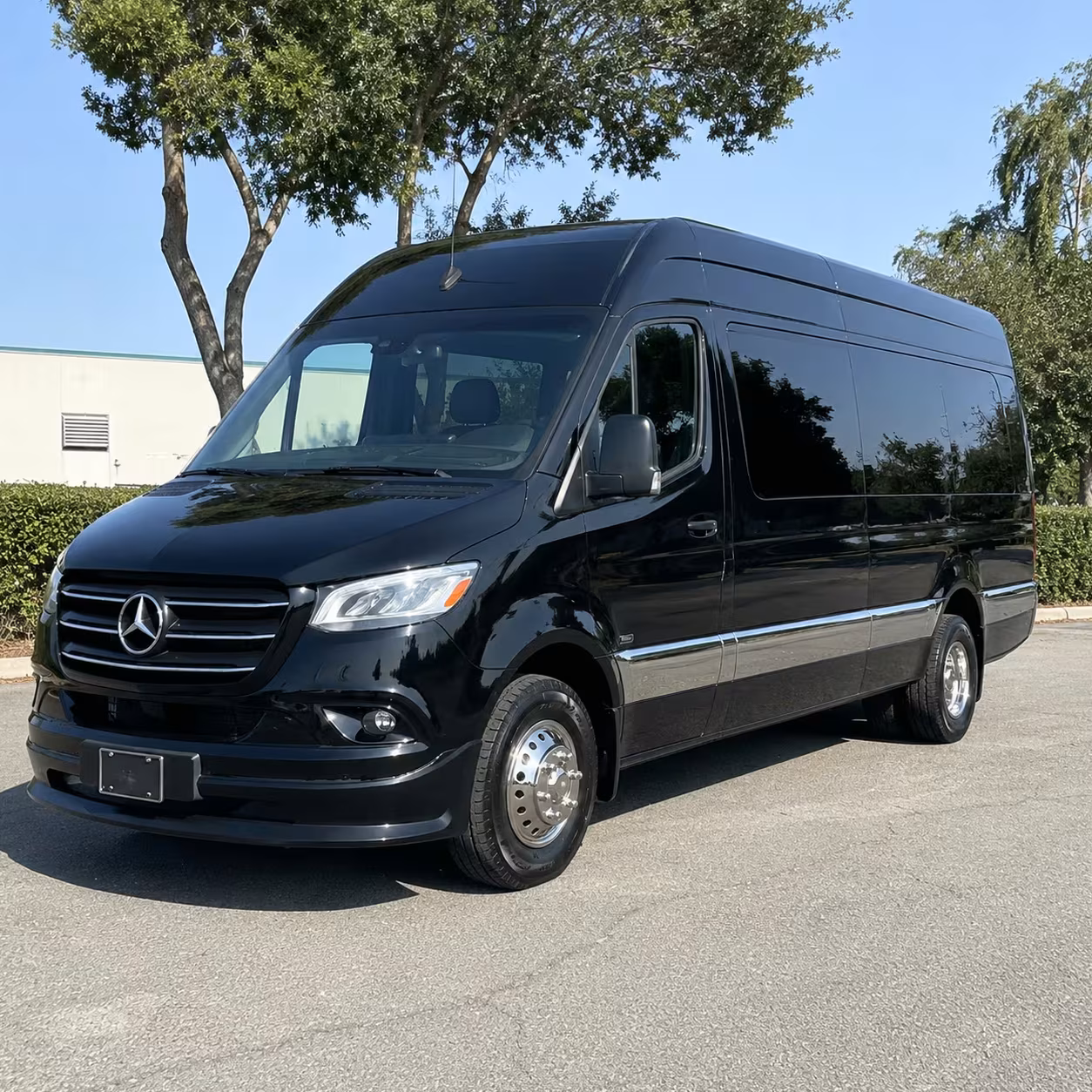 sprinter van with driver